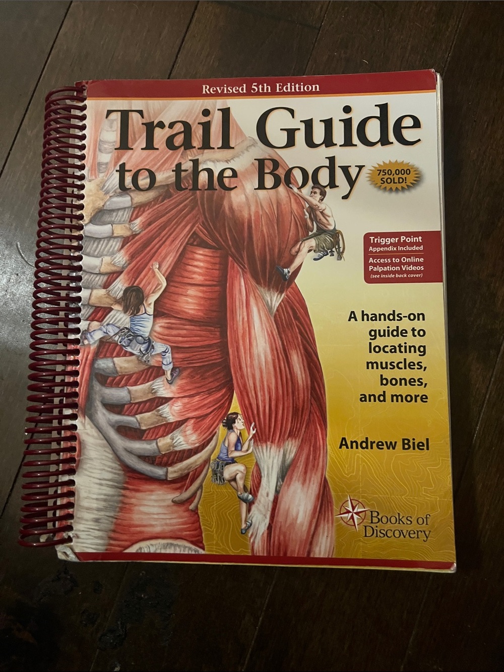 Trail Guide to the Body - by Andrew Biel -